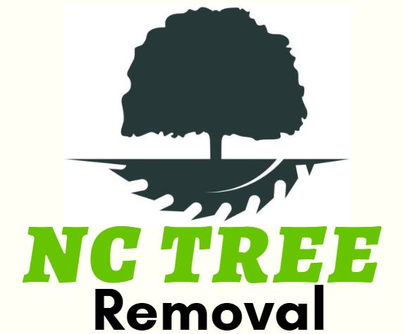 Carolina Tree Removal Pros of Clayton